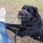 Foto von Birgit